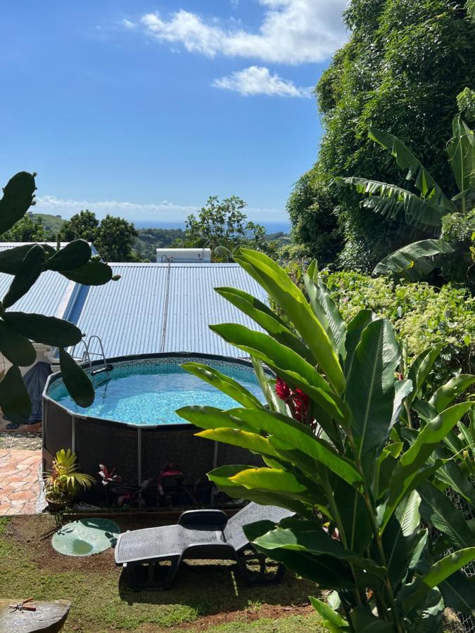 Villa Iguana, Duplex Paisible, Vue Magnifique Mer Et Rocher Du Diamant, Piscine Sainte-Luce Bagian luar foto