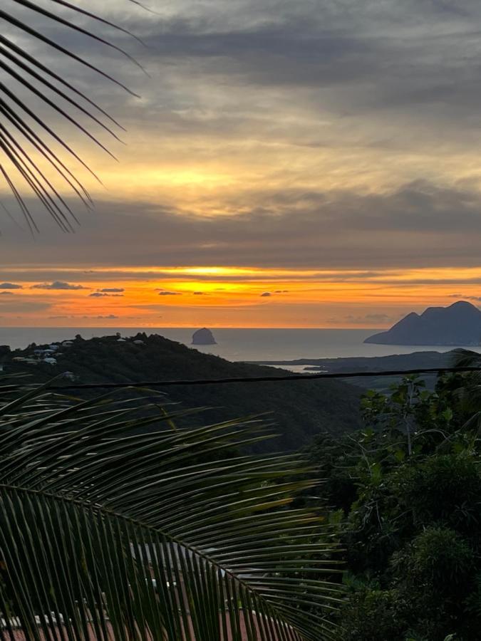 Villa Iguana, Duplex Paisible, Vue Magnifique Mer Et Rocher Du Diamant, Piscine Sainte-Luce Bagian luar foto